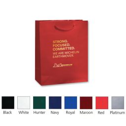 Deluxe Gloss Paper Bags - Size 8"x10"x4"