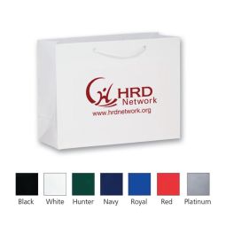 Deluxe Gloss Paper Bags, Size 13"x10"x5"