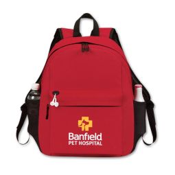 Deluxe Laptop Backpacks