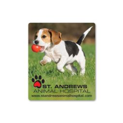 Large Rectangle Magnets - 3.5"x4"