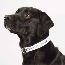 Full Color Adjustable Pet Collars, 1" Wide